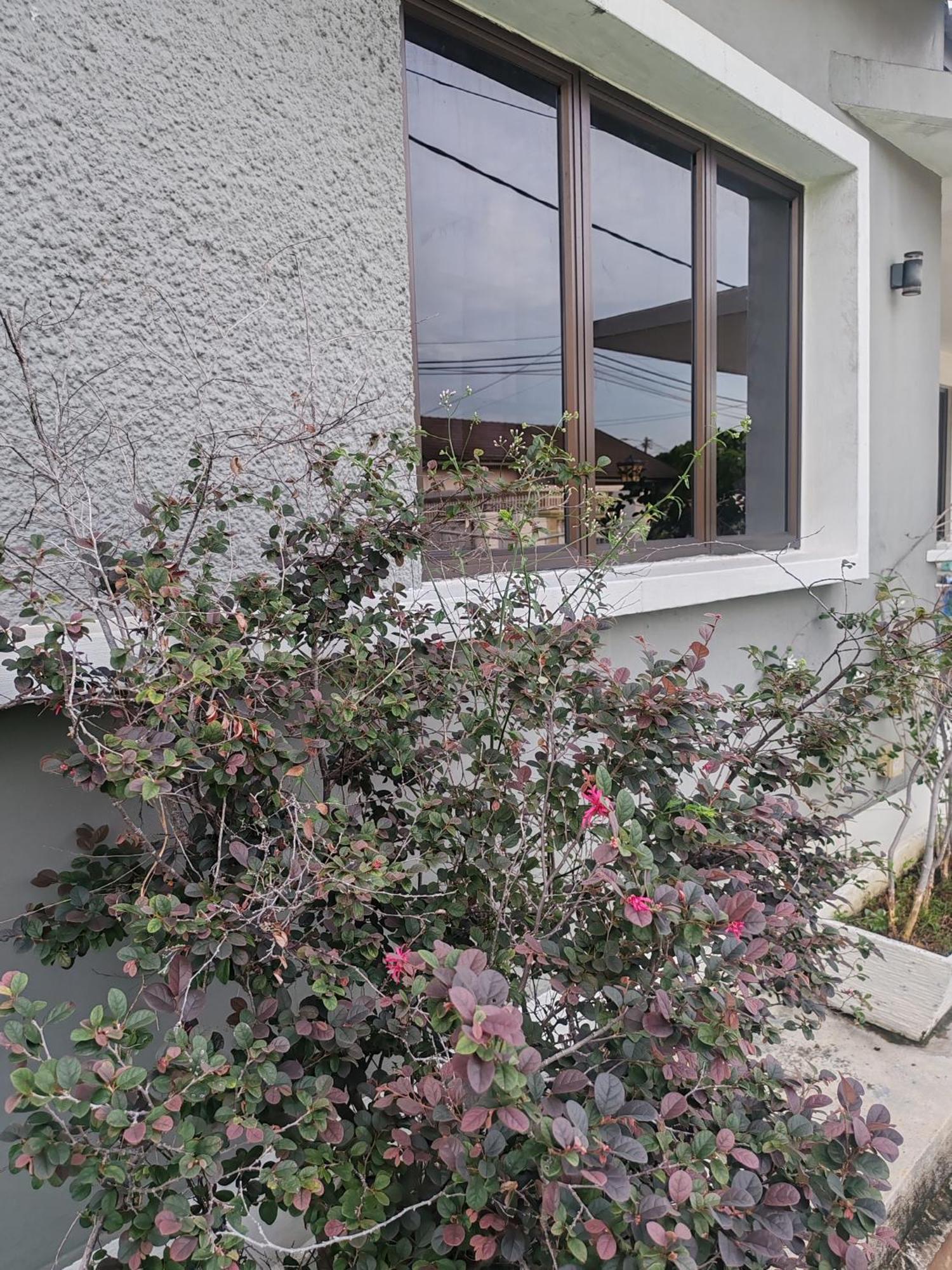 Melaka Beach Villa Kelebang Besar Экстерьер фото